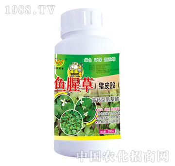 ��(r��n)��-�~�Ȳ�