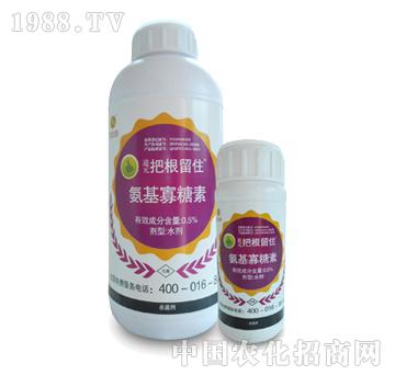 �Ѹ���ס����������