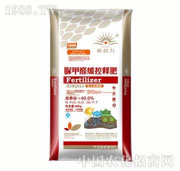 �������ȩ����ጷ�2