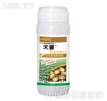 ����-̩�(y��ng)