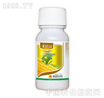 �����-̩�