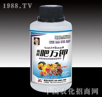 ���f⛹���ƿ�b