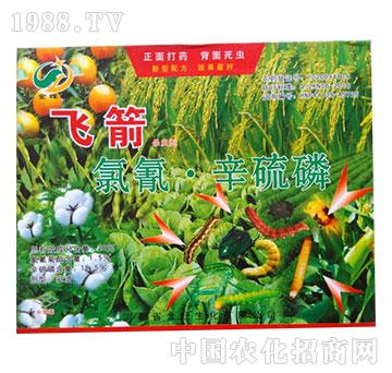 20%����������-�w��-�����r(n��ng)ˎ