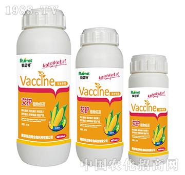 艾護植物疫苗玉米專用-銳邁特
