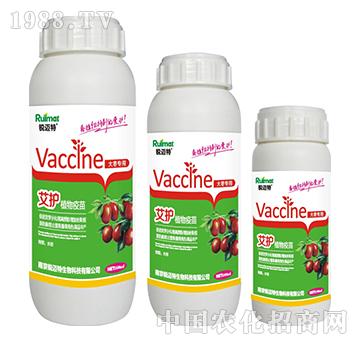 ���o(h��)ֲ������󗗌���-�J�~��