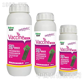 ���oֲ�������S�ό���-�J�~��