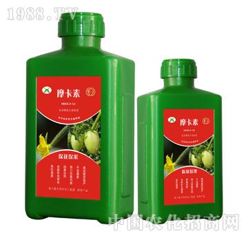 ������������������Һ��