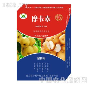 ��䌣�ð���������Һ��