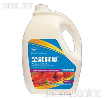 ȫ���ֶ�-��ݮ��(zhu��n)��-���