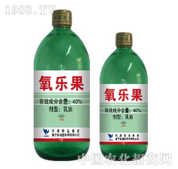 40%������-���{