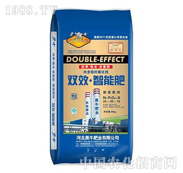 �pЧ���ܷ�20-20-S10-��ţ�ʘI(y��)