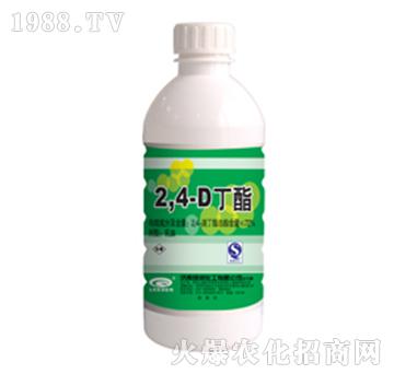 72%2��4�ζ���-�G��