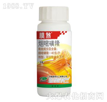 ���׻�¡-Ĥɷ-�G��