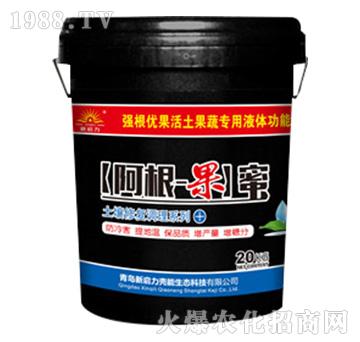 ����-����-����