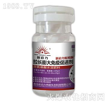 ���L������ߴ��M��-��