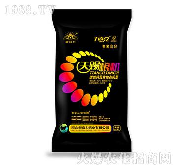 ���n�Z�C-̼�ܼ��Z����