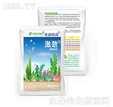 ����-�ǵ�����-չ�i����