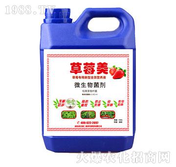 草莓美-草莓專用微生物菌劑-天潤三禾