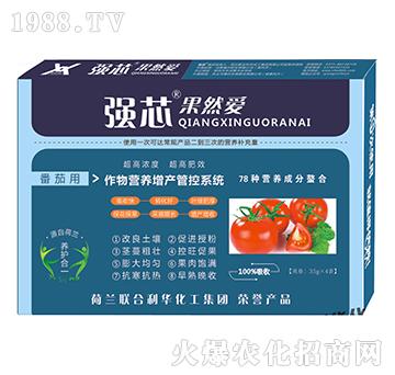 番茄用強(qiáng)芯果然愛(ài)葉面肥-強(qiáng)芯國(guó)際