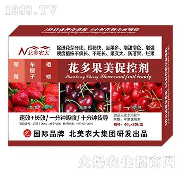 草莓、車?yán)遄?、櫻桃花多果美促控?北美農(nóng)大