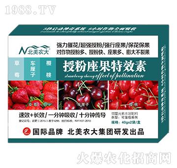 草莓、車?yán)遄印烟沂诜圩匦?北美農(nóng)大