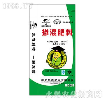 �������28-6-6-���r�ʘI(y��)