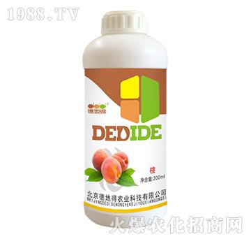 �Ҍ���-�µص�