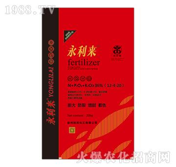 20kg大量元素水溶肥12-4-20-永利來-地邦泉