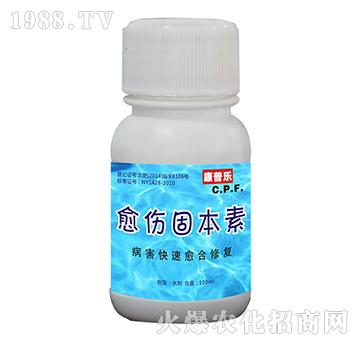 �����̱���-�r(n��ng)�_����