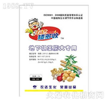 地下根莖膨大專用-農(nóng)達生化