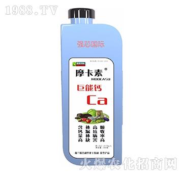 �����}-Ħ����-��о��