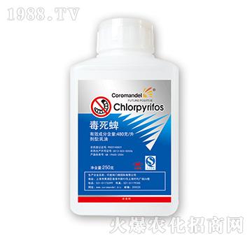 480��ÿ��������-���¿��r