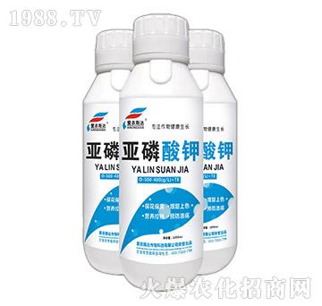 ������⛣�ƿ��-��(��i)�r(n��ng)˹�_(d��)