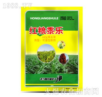 48%ݬȥ��-�t�Z��(l��)-�����r(n��ng)�I(y��)