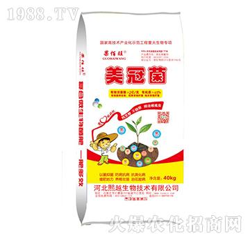 ���ھ�-������-��Խ����