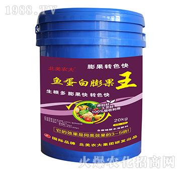 魚(yú)蛋白膨果王-北美農(nóng)大