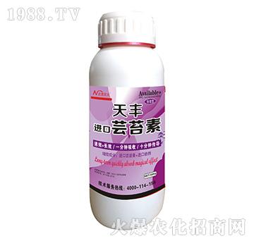 �M���|̦��-�����r(n��ng)��