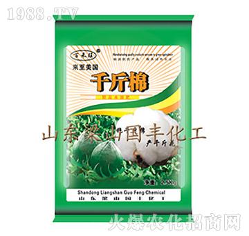千斤棉-梁山國(guó)豐