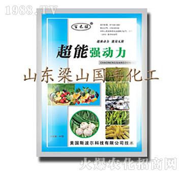 超能強(qiáng)動(dòng)力-梁山國(guó)豐