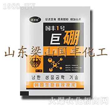 巨硼-梁山國(guó)豐