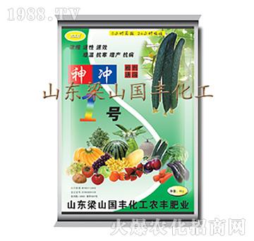 神沖1號(hào)-梁山國(guó)豐