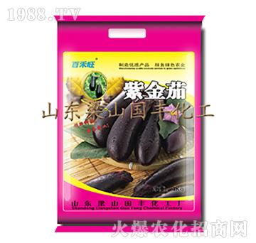 紫金茄-梁山國(guó)豐