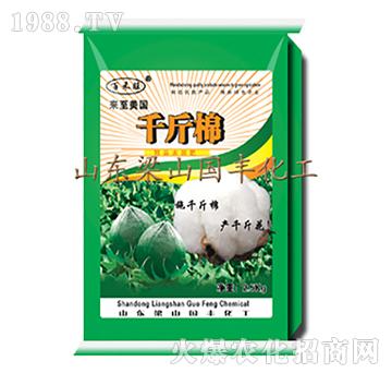 千斤棉（25kg）-梁山國(guó)豐