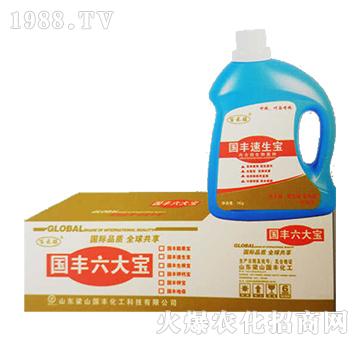 國(guó)豐速生寶-梁山國(guó)豐