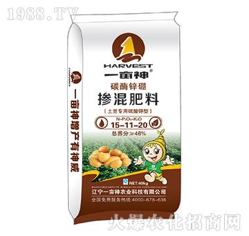 ����������̼ø�\�𓽻��15-11-20-һ����