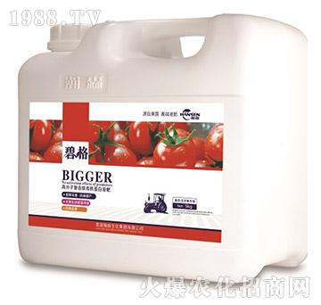 番茄圣女果專用高分子復(fù)合肽有機蛋白液肥（5kg）-碧格-瀚森農(nóng)業(yè)