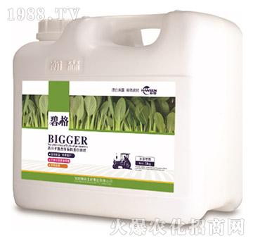 葉菜專用高分子復合肽有機蛋白液肥（5kg）-碧格-瀚森農業(yè)