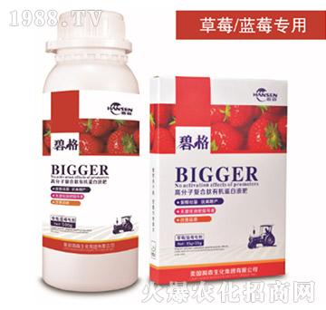 草莓專用高分子復(fù)合肽有機蛋白液肥-碧格-瀚森農(nóng)業(yè)