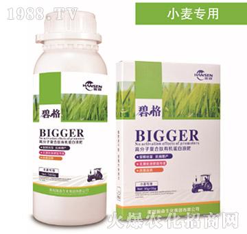 小麥專用高分子復(fù)合肽有機(jī)蛋白液肥-碧格-瀚森農(nóng)業(yè)