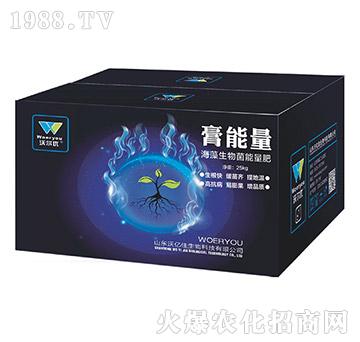 ���������������-������-�֠���(y��u)